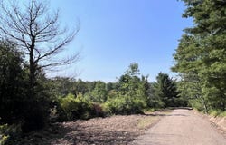 Lot 2 Rt 417, Bolivar, NY 14715
