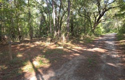 1142 Choice Road, Johns Island, SC 29455