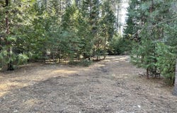 Emigrant Trail, Shingletown, CA 96088
