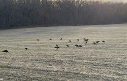 205th 125th Avenue, Grand River, IA 50108