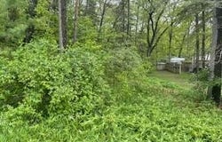 124 CADILLAC AVENUE, HOUGHTON LAKE, MI 48629