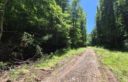 Co Rt 35/4 Jobs Run, Glenville, WV 26351