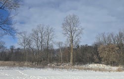 S Pine River Road, Ithaca, MI 48847