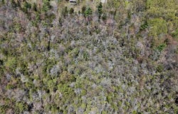 Lot 624 Laurel Road, Pocono Summit, PA 18346