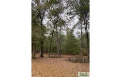1199 Chimney Road, Rincon, GA 31326