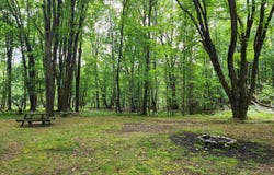 5462 Oak, Farwell, MI 48622