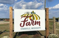 5733 Blackjack Rd, Starkville, MS 39759