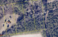 0 Sandbed, Pamplico, SC 29583