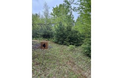 4 Bog Brook Loop, West Paris, ME 04289