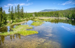 2280 North Fork Road, Columbia Falls, MT 59912