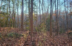 Lot 18 Beech Tree CT, Gloucester, VA 23061