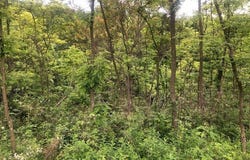 129 Ridgecrest Dr, South Buffalo Twp, PA 16229