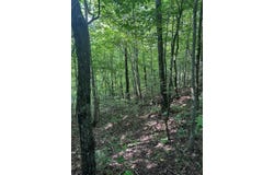 Buckeye Lane lot: 2, Wilder, TN 38589