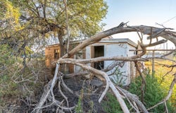 512 E Rice, Lubbock, TX 79403