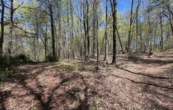 Tbd Peoples, Saugerties, NY 12477