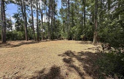1580 Norma Dr, Denham Springs, LA 70726