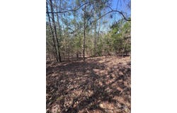 Cross Creek Drive unit: 277, Rutherfordton, NC 28139