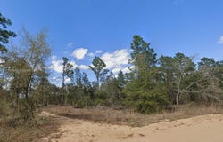 0 Unincorporated, Other City - In The State Of Florida, FL 32148