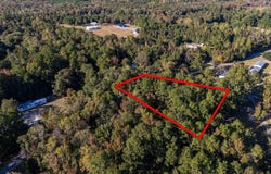 Barnes Rd., Andrews, SC 29510