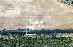Tbd 5.34 Acres, Manning, SC 29102