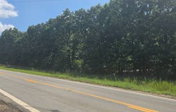 23075 Hwy 90 W, Ravenden, AR 72459