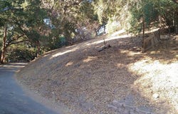 12300 SPRING Trl, Sylmar, CA 91342