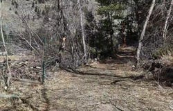 14 Sly Fox Rd, Drake, CO 80515