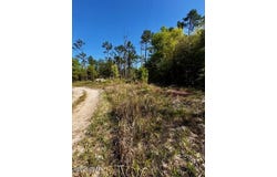 Tbd Akers Trail, Chipley, FL 32428