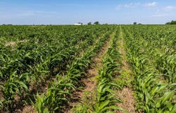 TBD Hwy 15, Tonkawa, OK 74653