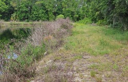 BURNSED ROAD, PIERSON, FL 32180