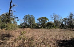 E Gordon St, Quitman, GA 31643