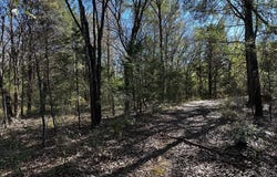231 PRIVATE RD 8507, Van, TX 75790