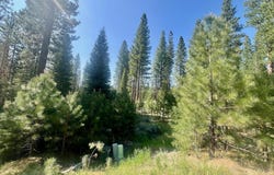 950 Miner's Passage, Clio, CA 96106