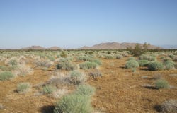 N Vim, Rosamond, CA 93560