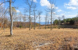 0 Misty View Court, Jasper, TN 37347