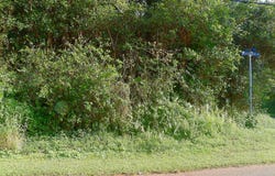DIAMOND HEAD DR, Pahoa, HI 96778