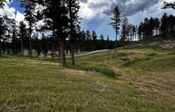 Blk 6 Lot 4, Hill City, SD 57745
