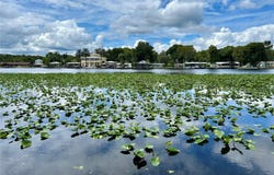 1638 PARADISE Lane, ASTOR, FL 32102