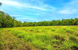 Sweet Valley Road, Lambert, MS 38643