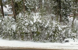 156 Lower Evergreen Dr., Park City, UT 84098