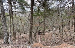 125 Beaver  CIR, Holiday Island, AR 72631