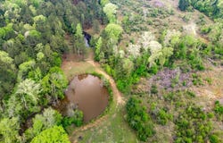 12023 Hwy 21, Douglass, TX 75943