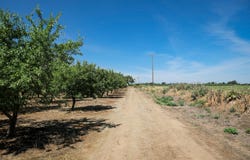 Thorton Road, Merced, CA 95341