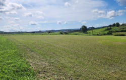 250 Aubrie Boulevard, Flemingsburg, KY 41041