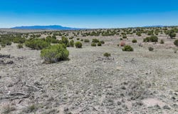 Lot 189 Pinon Springs Ranches, Magdalena, NM 87825
