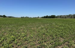 QUIGLEY Road, WINNECONNE, WI 54986