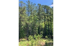 1 US 67, Fredericktown, MO 63645