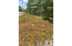 Route 1, Gouldsboro, ME 04607