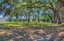 LION LANE, TAVARES, FL 32778