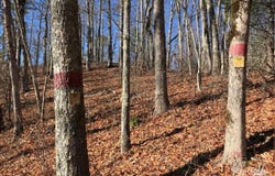 Saturn Way, Topton, NC 28781